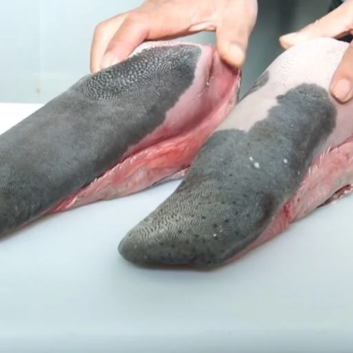 皮のついた牛たんの原木2本を、作業台の上で手に持っているところ。切り口から中の肉が見えている