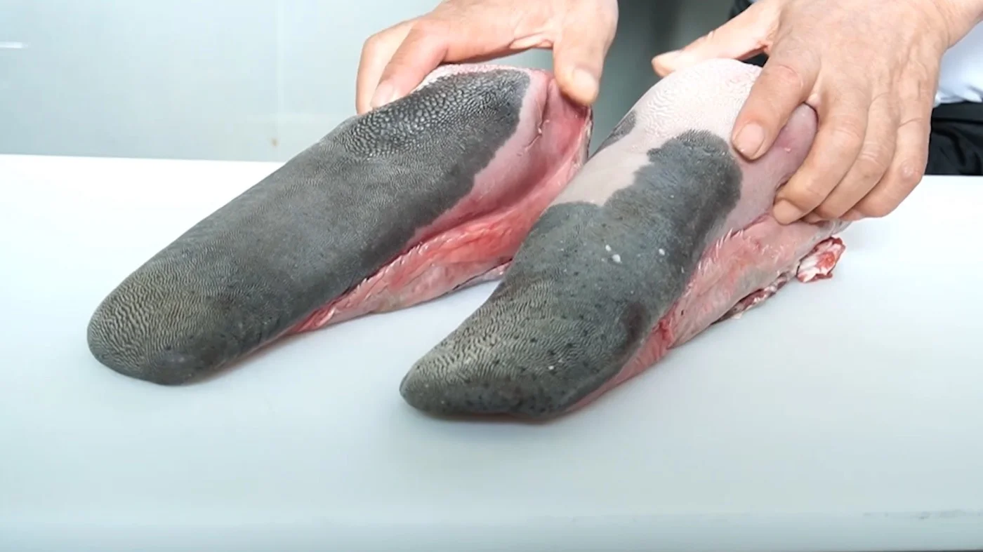 皮付きのまま置かれた一本の牛たん（原木）