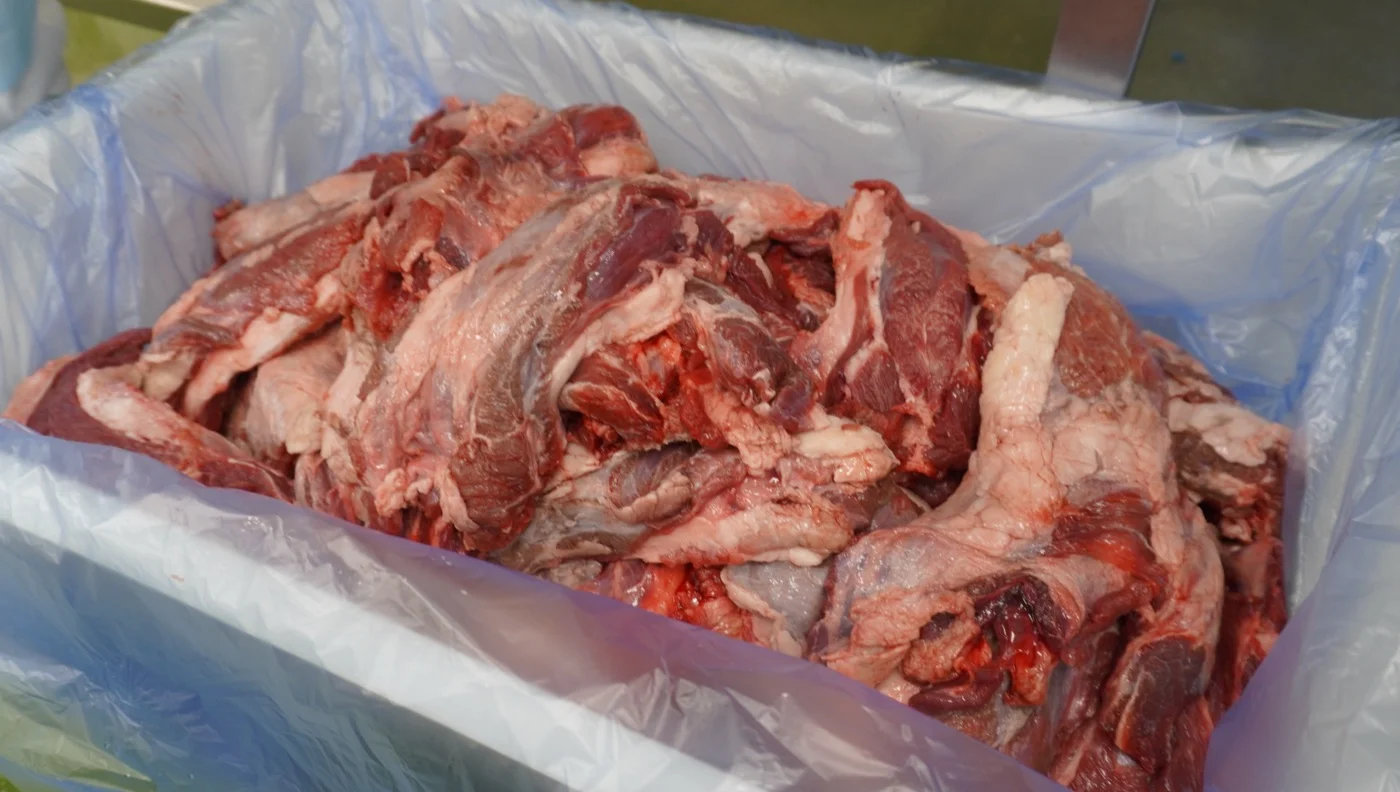 切り分けたさがりの原料肉を、袋を敷いた容器にまとめたところ。赤身と白い部分が混ざっている